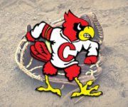 Cardinals Softball Sees Season End in District Finals