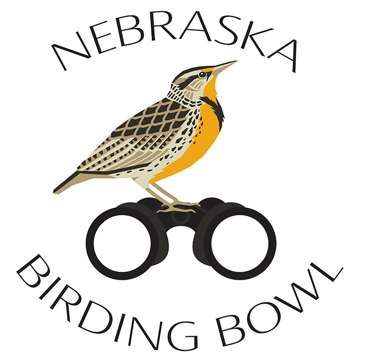 nebraska-birding-bowl-is-back-this-may-kcsr-kbpy