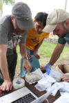 Fossil Studies at Toadstool