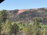 South Fork Fire Evening Update (6/15)